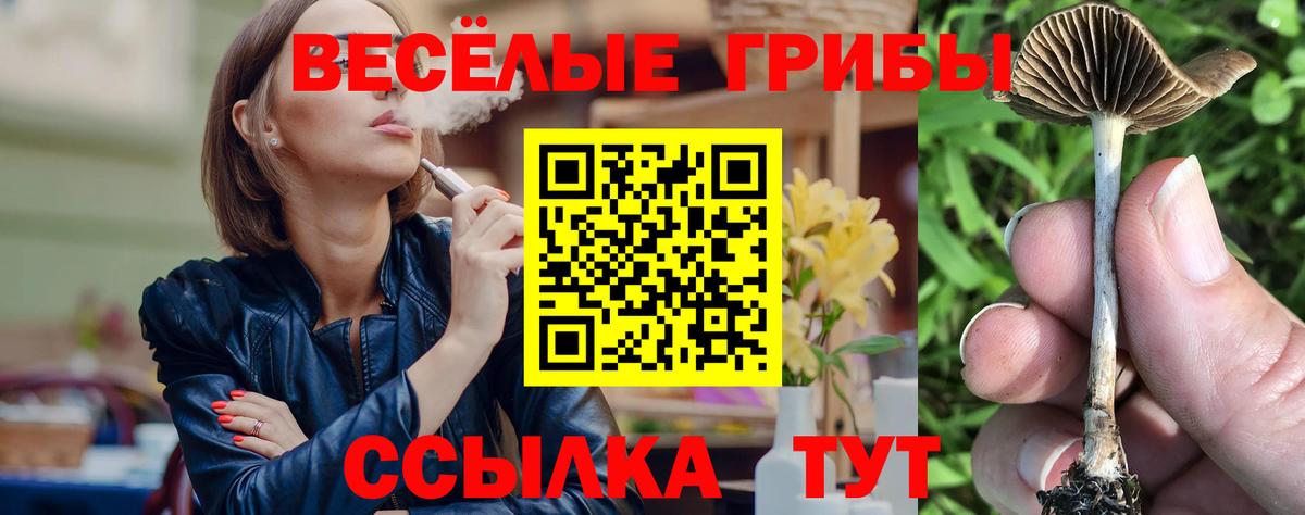Псилоцибиновые грибы Psilocybe  Вход с VPN  Галлюциногенные грибы мухоморы  Тихорецк 